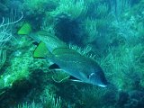 IMG_7000.JPG