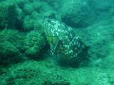 IMG_7055.JPG