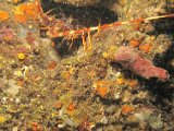 IMG_7081.JPG