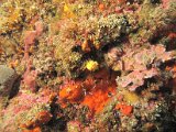 IMG_7133.JPG