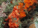 IMG_7155.JPG