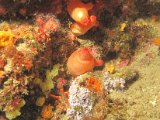 IMG_7261.JPG